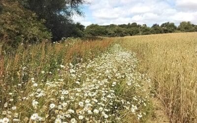 Supporting Nature Recovery in the Evenlode Landscape