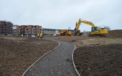 Mulberry Park Update