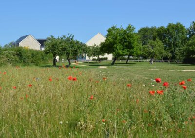 Wedmore, Somerset