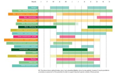 Covid19 in 2020: Development Projects and ecology/landscape services