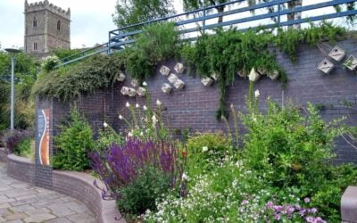 Benefits of Bird and Bat Boxes
