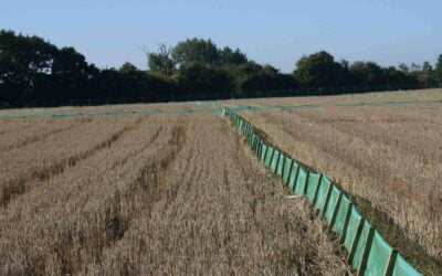 Ecology Planning Conditions