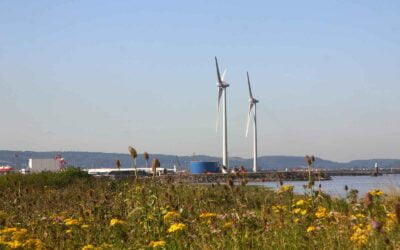 Contracts for Difference:  Onshore Wind And Solar Development